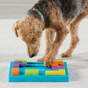 DOG ENRICHMENT PRODUCTS