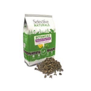 Guinea pig food
