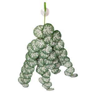 REPTILE ONE HANGING PLANT 70CM BRUNNERA GREEN SILVER W SUCTION CUP