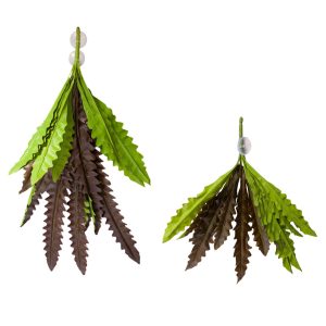 REPTILE ONE HANGING PLANT 90CM BIRDS NEST FERN RED