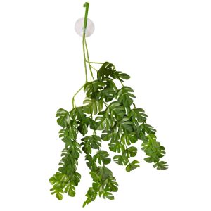 REPTILE ONE PLANT HANGING PLANT 70CM RHAPHIDOPHORO GREEN W/SUCTION CUP