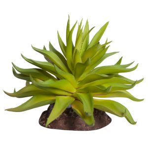 REPTILE ONE PLANT MINI CARPOBROTUS GREEN WITH CERAMIC BASE