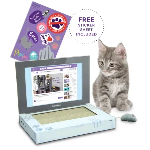 KAZOO CATBOOK PRO CARDBOARD CAT LAPTOP
