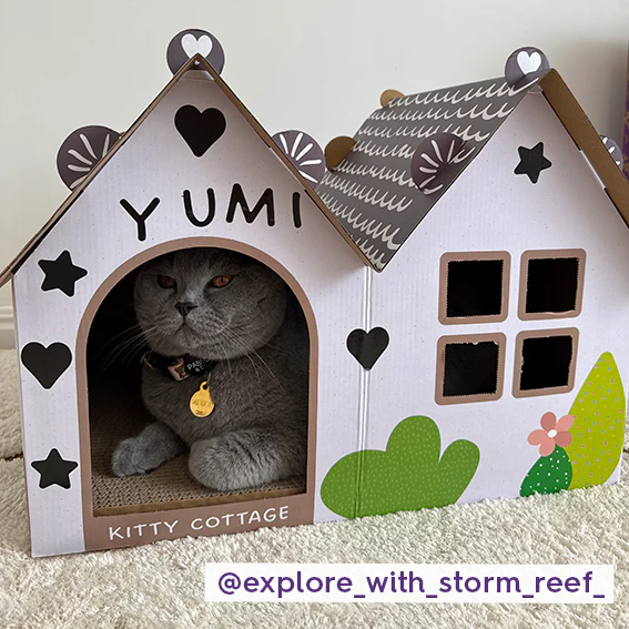 KAZOO KIITTY COTTAGE CARDBOARD HOUSE - Image 2