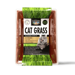 MR FOTHERGILL S CAT GRASS