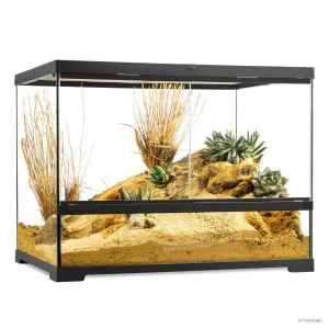 EXO TERRA PRO TERRARIUM MEDIUM/WIDE 60 X 45 X 45CM