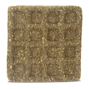 TIMOTHY WAFFLE