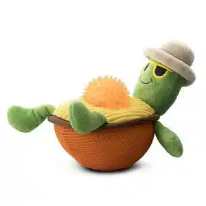 TURBO THE TURTLE